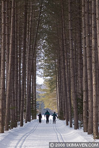 Exiting the forest at Mt. Tremblant nordic center