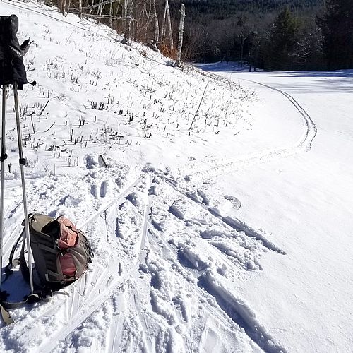 Photo of ski poles, backpack and Nordic ski tracks in the bright sun