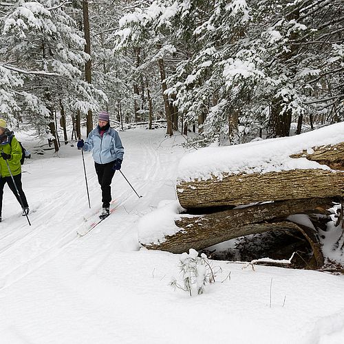 Catamount Outdoor Center, Vermont