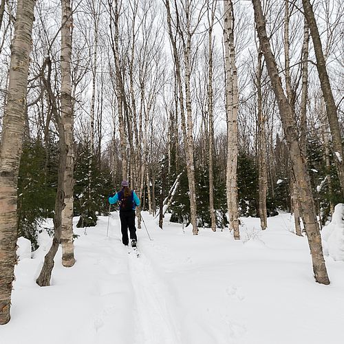 Backcountry ski tour in Stowe, Vermont