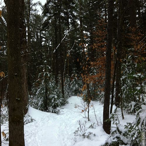 Cross-country ski in Stowe