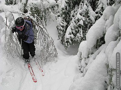 Ice coats the trees on the backcountry trails at Bolton Valley