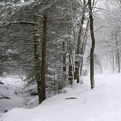 Nordic skiing in fresh powder in Stowe