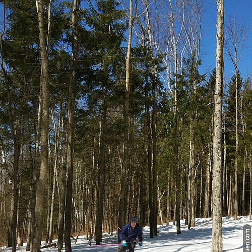 Camel's Hump Nordic trail network