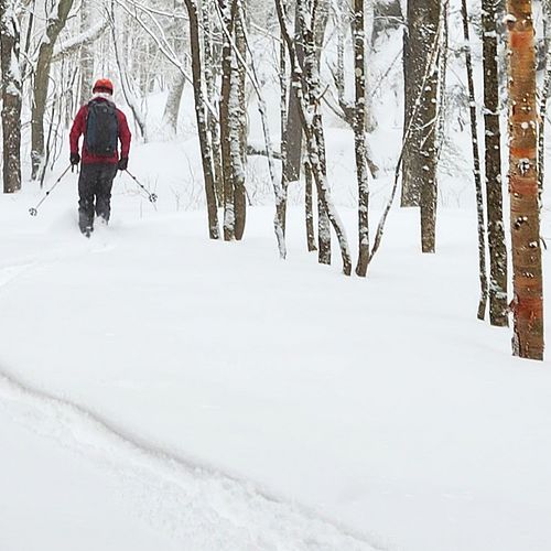 A tele skier leaves a track in fresh snow