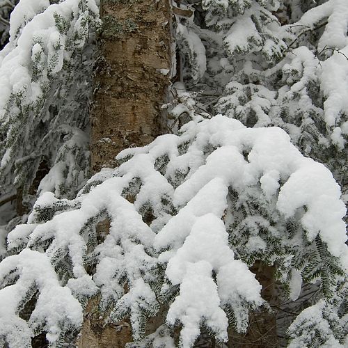 There's snow in Vermont. How scrumptious!