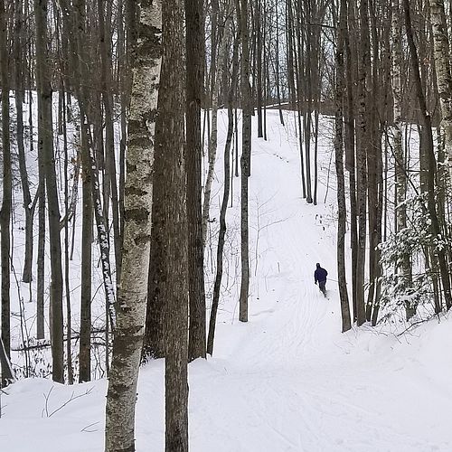 On the snowy trails on Sunday afternoon.