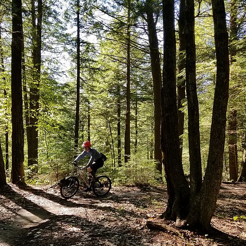 Biking in the Champlain Valley, Vermont