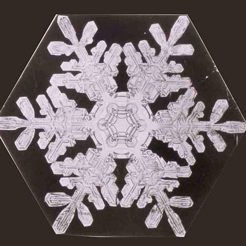 Intricate snowflake photo by Snowflake Bentley