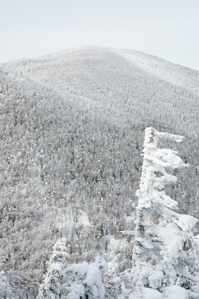 A view from the Stowe View lookout