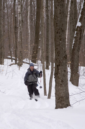 Sweet turns in Honey Hollow, near Camel's Hump