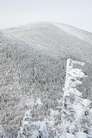 We had a view from Stowe View today at Bolton Valley!